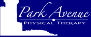 Logo 300x123 Acupuncture in Kings Park NY